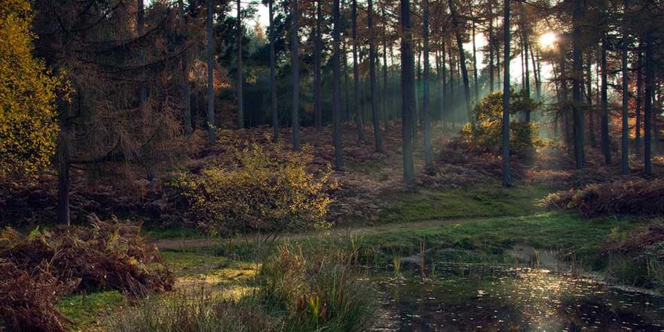 Top Spots to Hunt Monsters in the U.K.